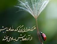 یار بی رقیب